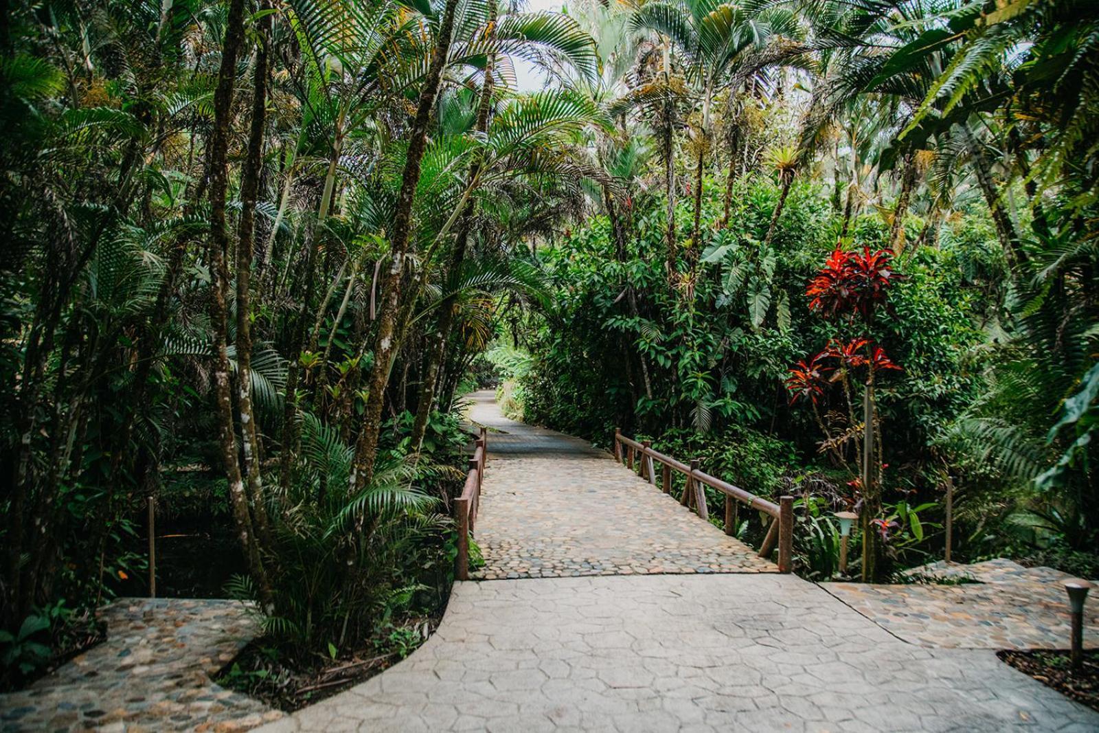 Arahuana Jungle Resort & Spa Tena Exterior foto