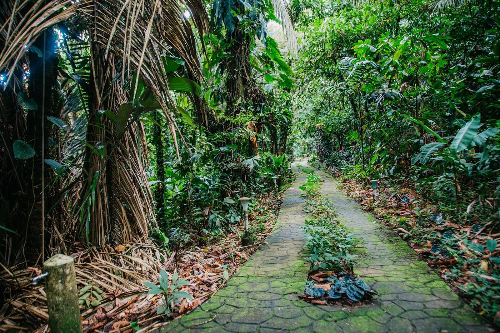 Arahuana Jungle Resort & Spa Tena Exterior foto